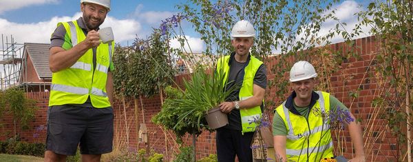 Team trade head office for a hands-on day for local hospice